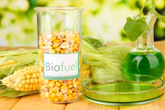 Elvaston biofuel availability