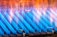 Elvaston gas fired boilers